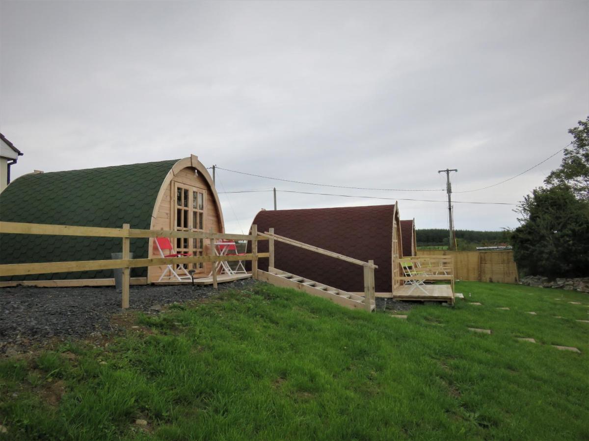 Shannon Estuary Glamping Effernan Buitenkant foto