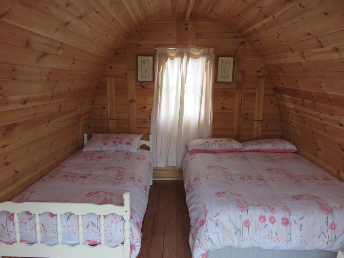 Shannon Estuary Glamping Effernan Buitenkant foto
