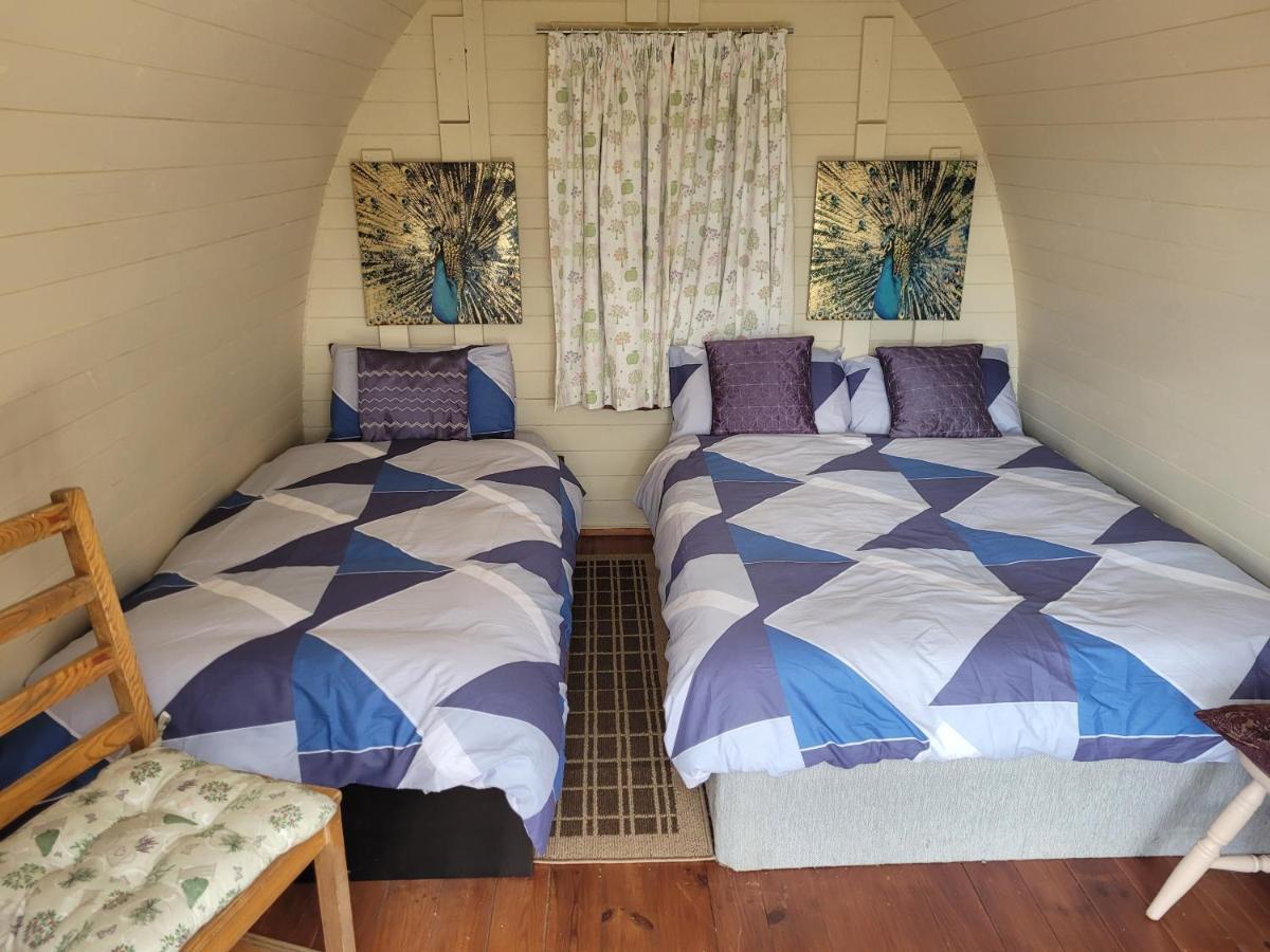 Shannon Estuary Glamping Effernan Buitenkant foto