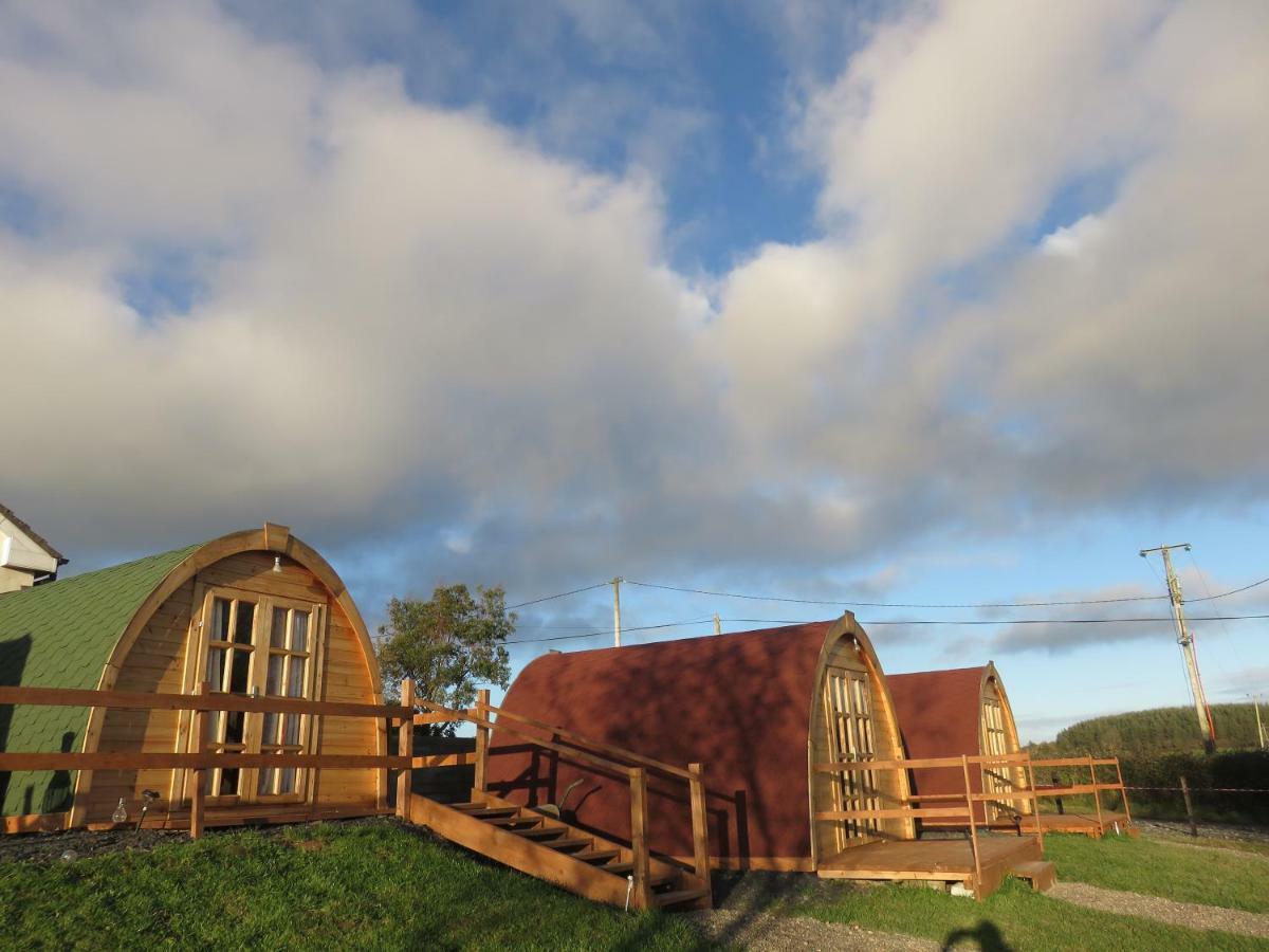 Shannon Estuary Glamping Effernan Buitenkant foto