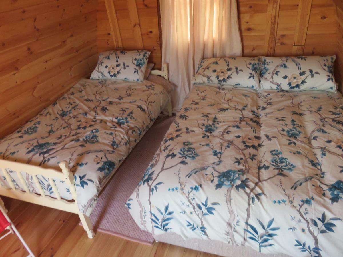 Shannon Estuary Glamping Effernan Buitenkant foto