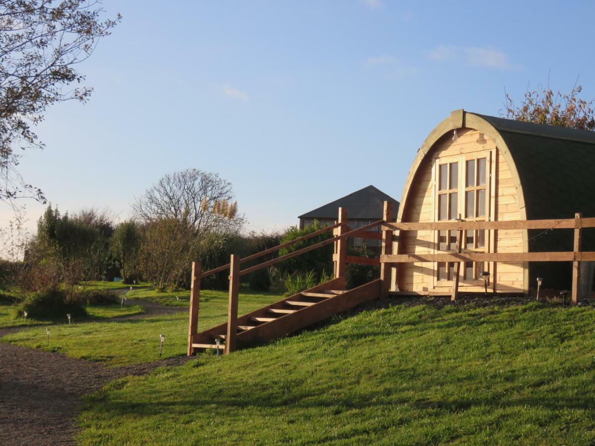 Shannon Estuary Glamping Effernan Buitenkant foto